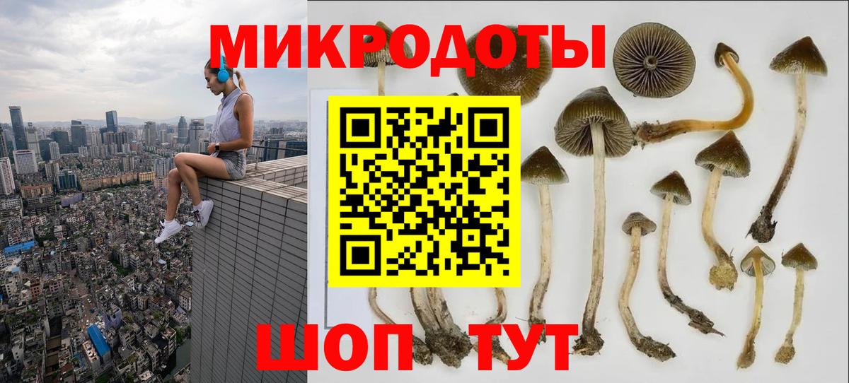Галлюциногенные грибы Cubensis  Галлюциногенные грибы Psilocybine cubensis  купить   Вход с VPN  Корсаков 